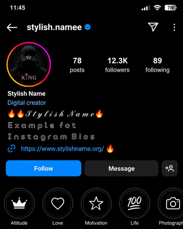 Instagram stylish name
